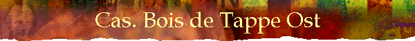Cas. Bois de Tappe Ost