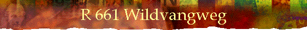 R 661 Wildvangweg